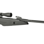 Gamo Whisper Silent Cat Air Rifle