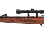 Hatsan 95 Air Rifle Combo, Walnut Stock air rifle