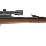 RWS .22 Pellet Model 34 Combo Rifle (Wood, Large)