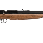 Crosman Benjamin Discovery