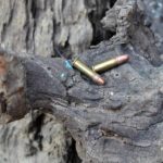 Best 22 Rimfire LR Ammo