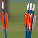 best compound bow arrows