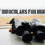 best binoculars for hunting