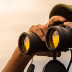 Best Bushnell Binoculars